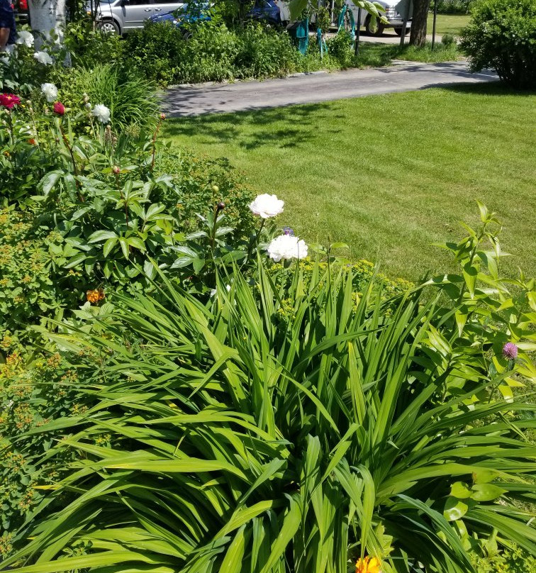 Maidstone Inn Bed and Breakfast主图