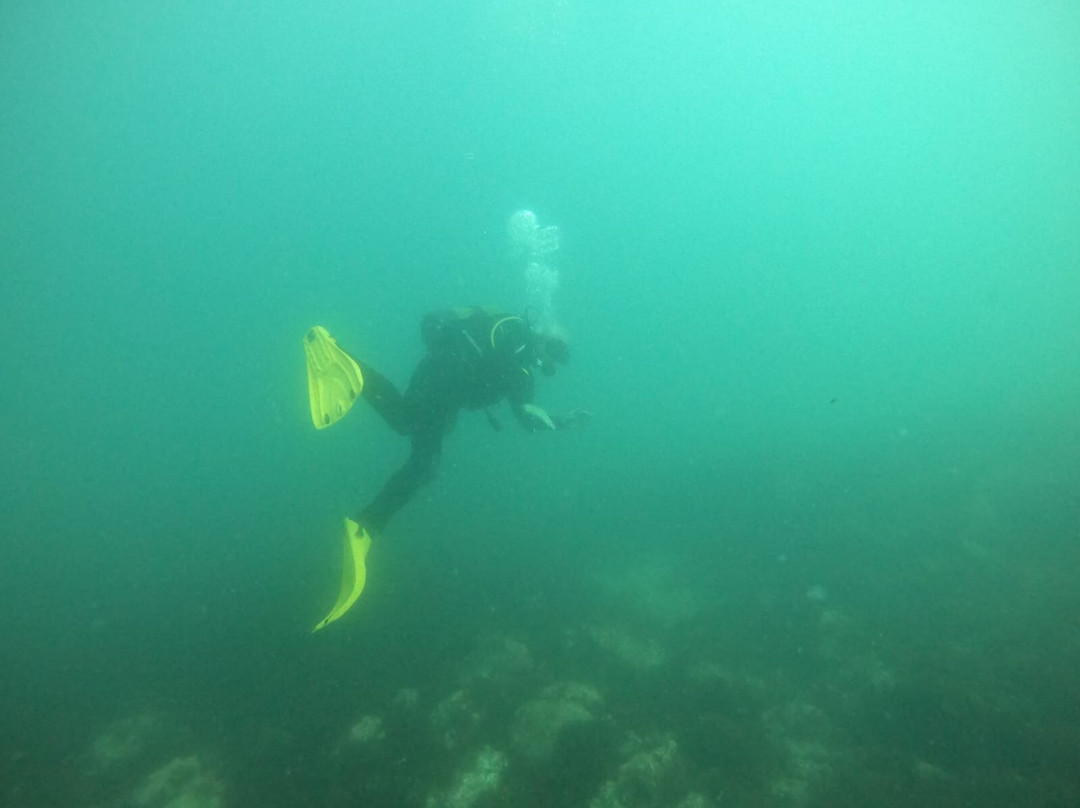 Simply Diving-马贝拉必去景点