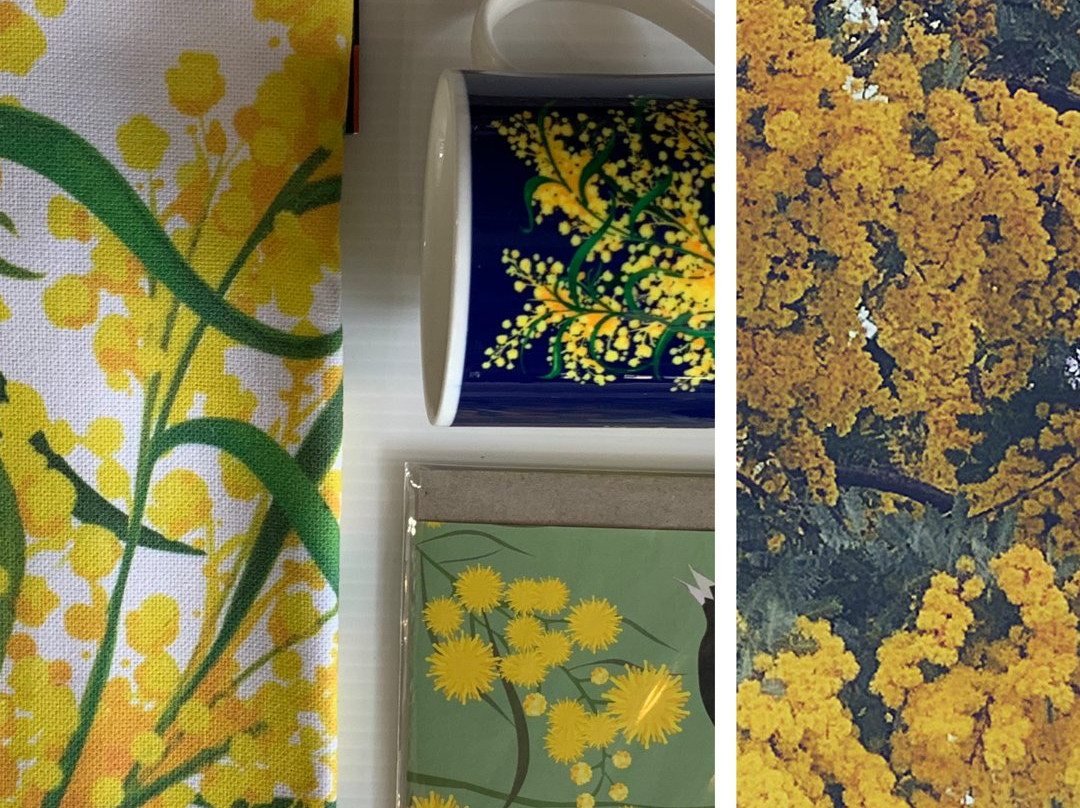 Lighthouse View-Aireys Inlet必去景点