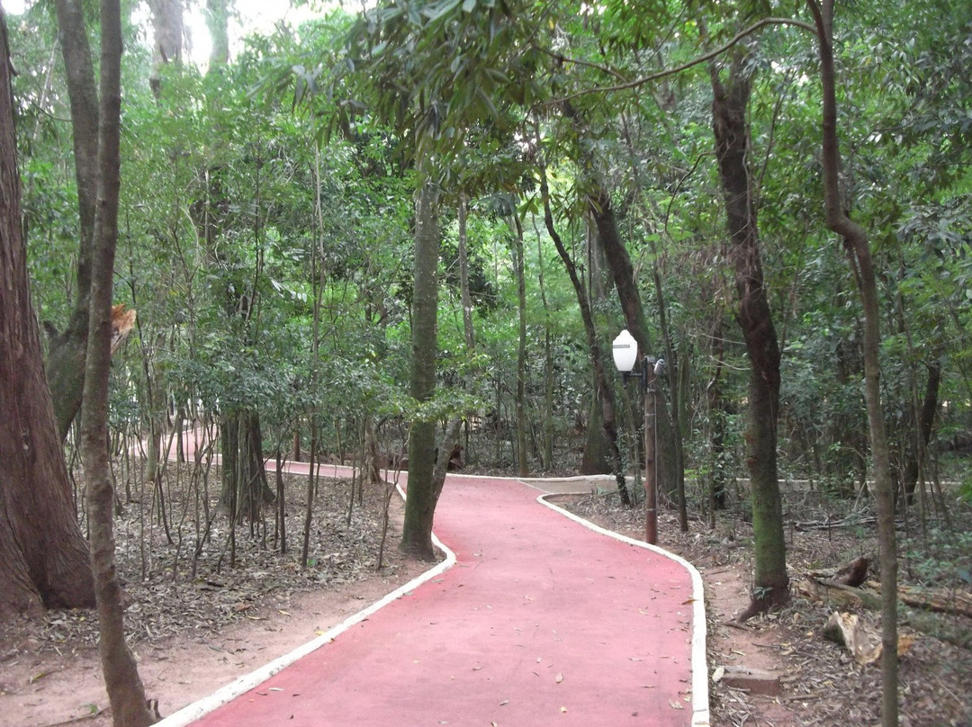 Bosque Uirapuru景点图片