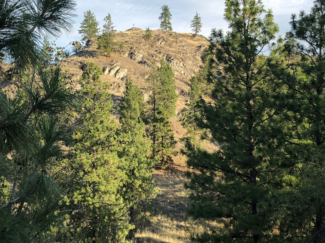 High Chaparral Guest House主图