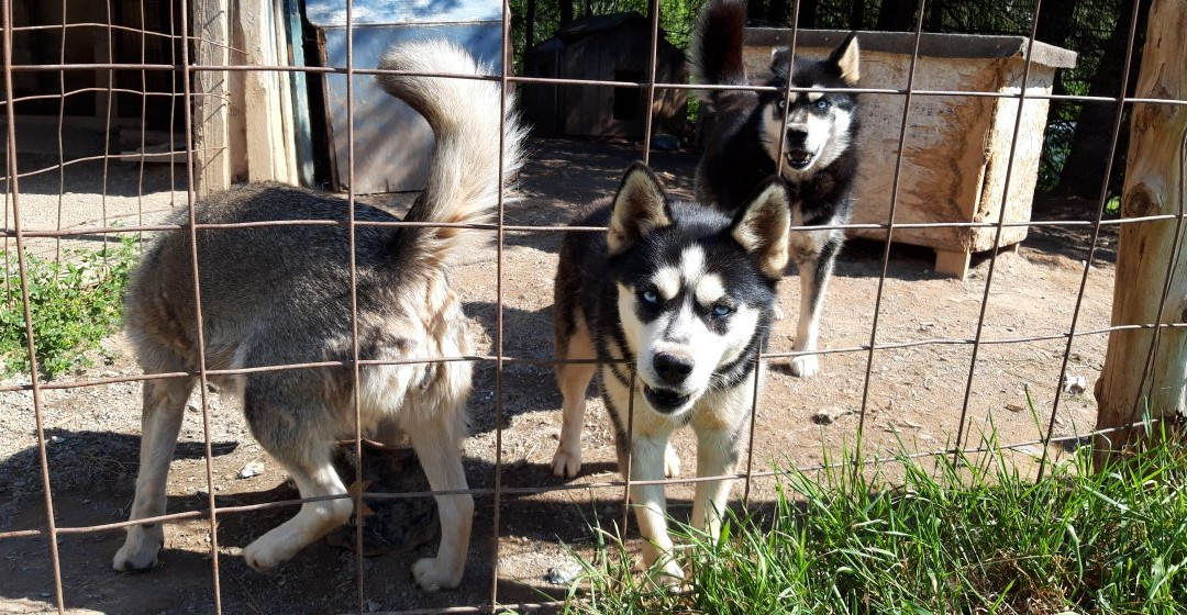 Gîte Aux jardins de l'Anse主图