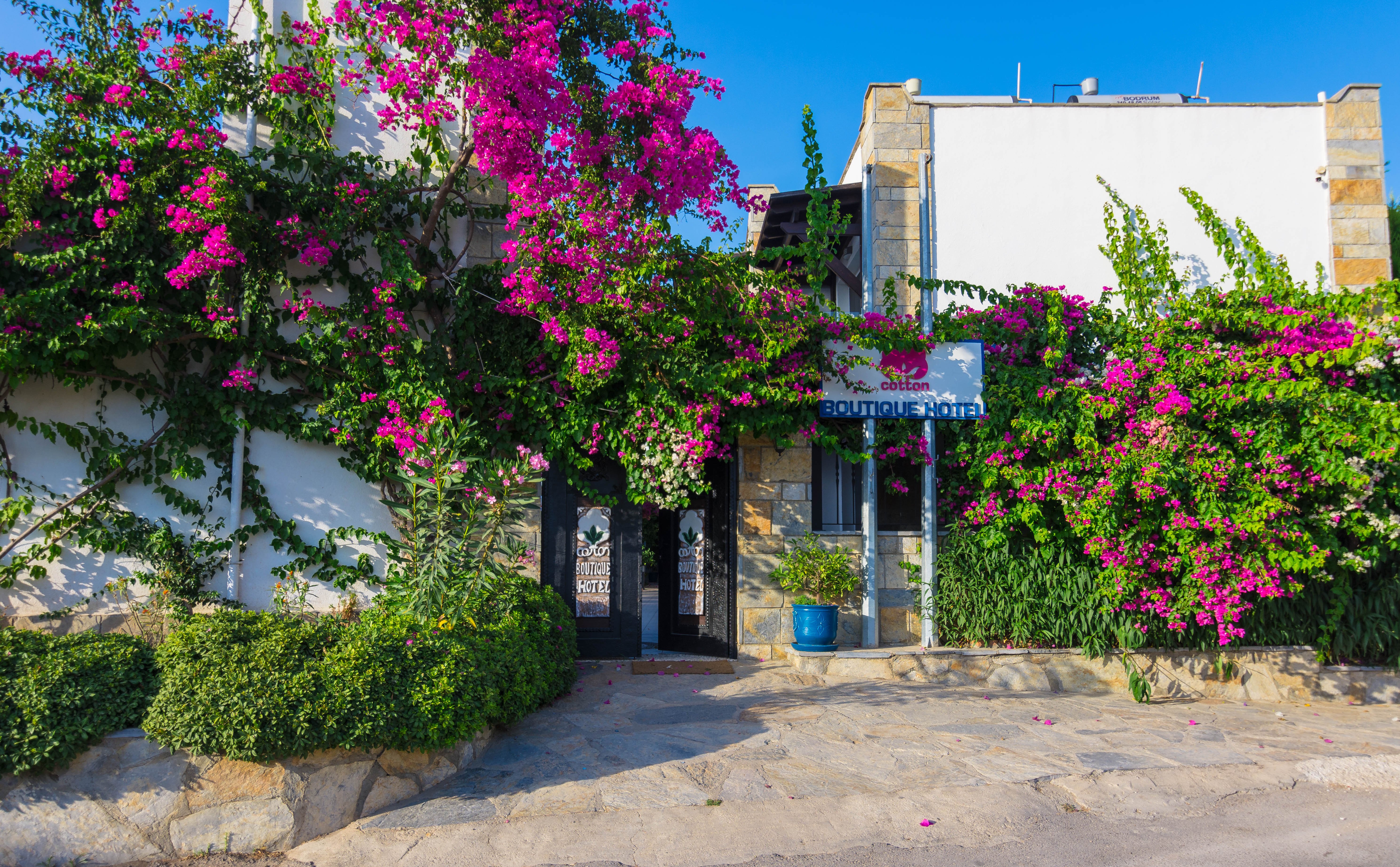 Cotton Boutique Hotel-官方