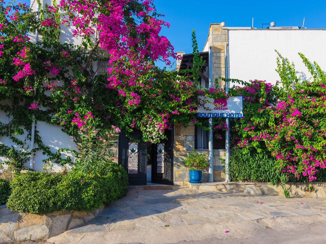 Konacik酒店住宿-Cotton Boutique Hotel