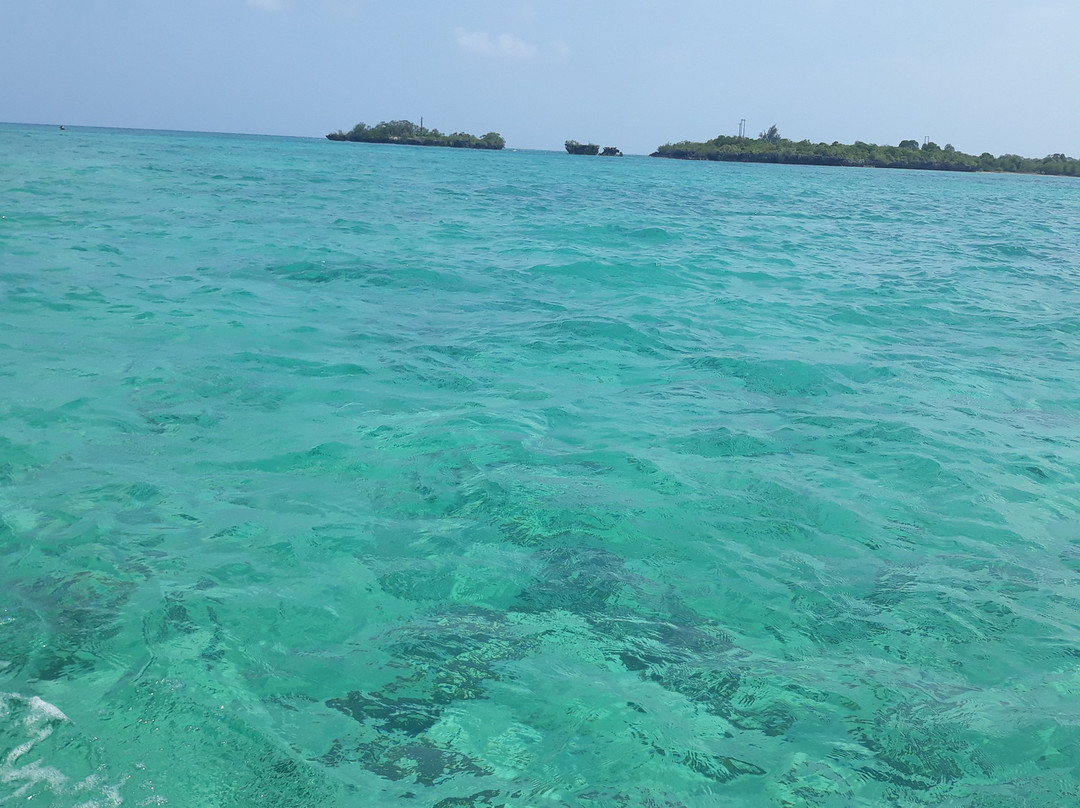 Explore Pemba and Beyond-奔巴岛必去景点