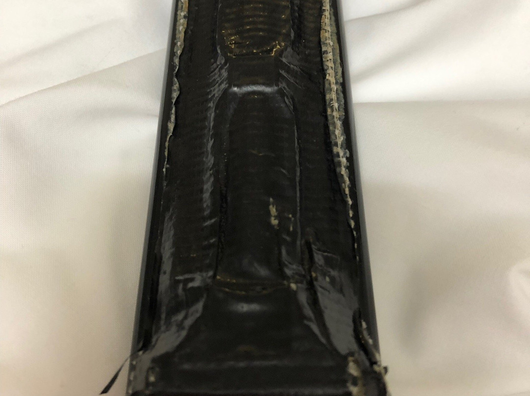 Forster Motor Inn主图