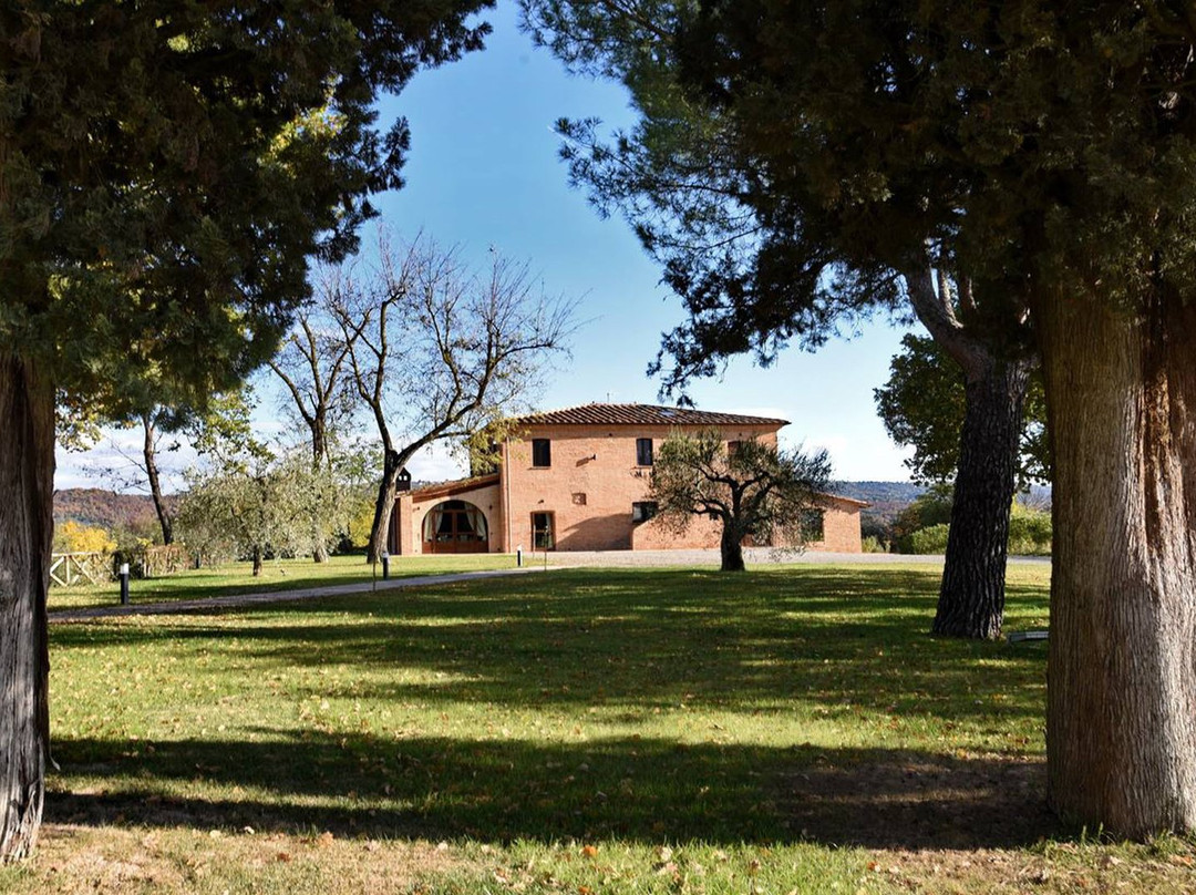 Macchie San Vincenzo