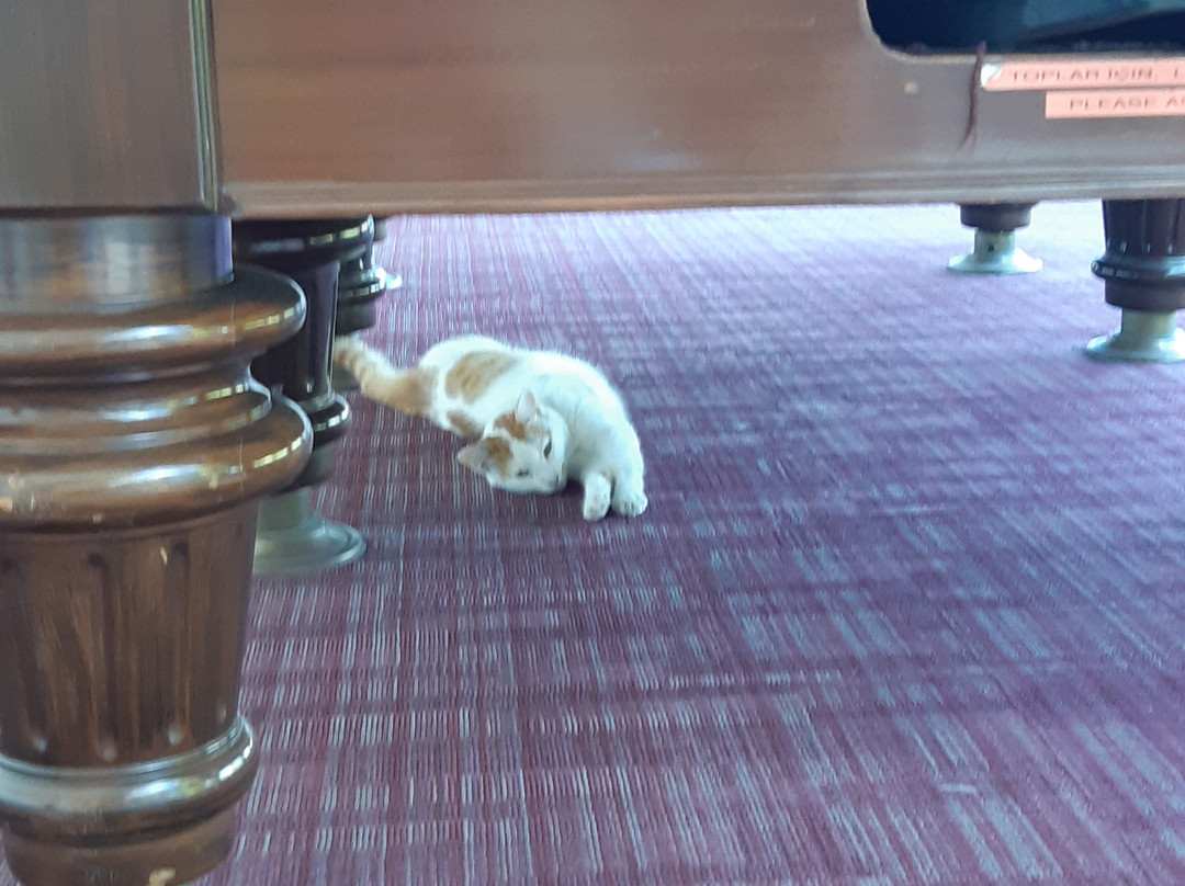 Tui Blue Grand Azur主图