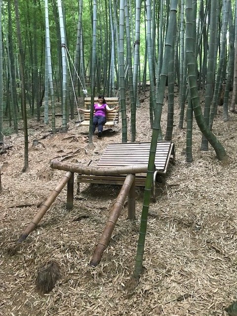 Maengjongjuk Theme Park-巨济市必去景点