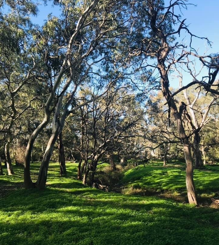 Stewarts Reserve-Waurn Ponds必去景点