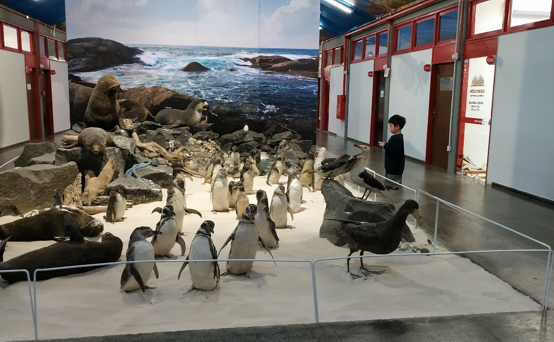Museu de Zoologia Prof.ª Morgana Cirimbelli Gaidzinki da Unesc景点图片