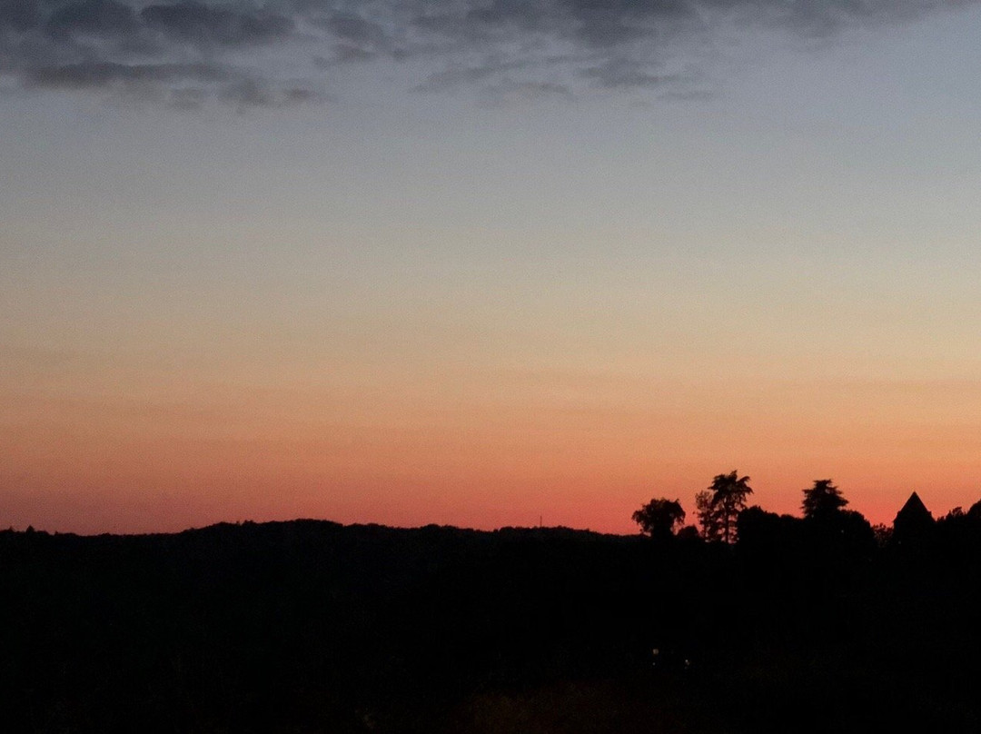 Les Jonquilles主图