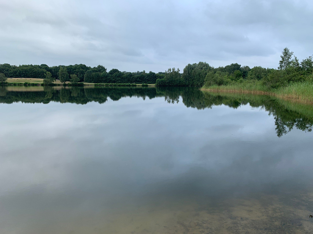 Hotel Restaurant Driland主图