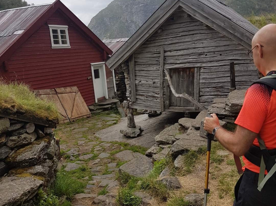 Trekking in Aurlandsdalen景点图片