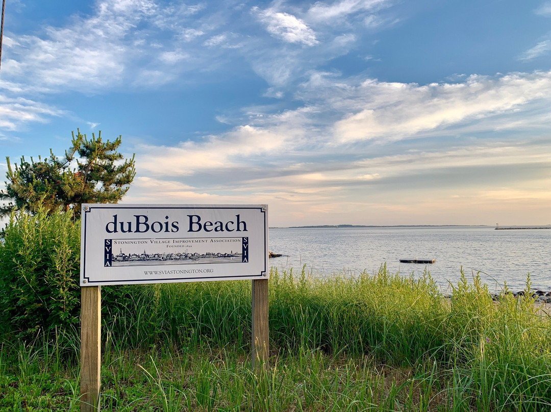 Dubois Beach景点图片