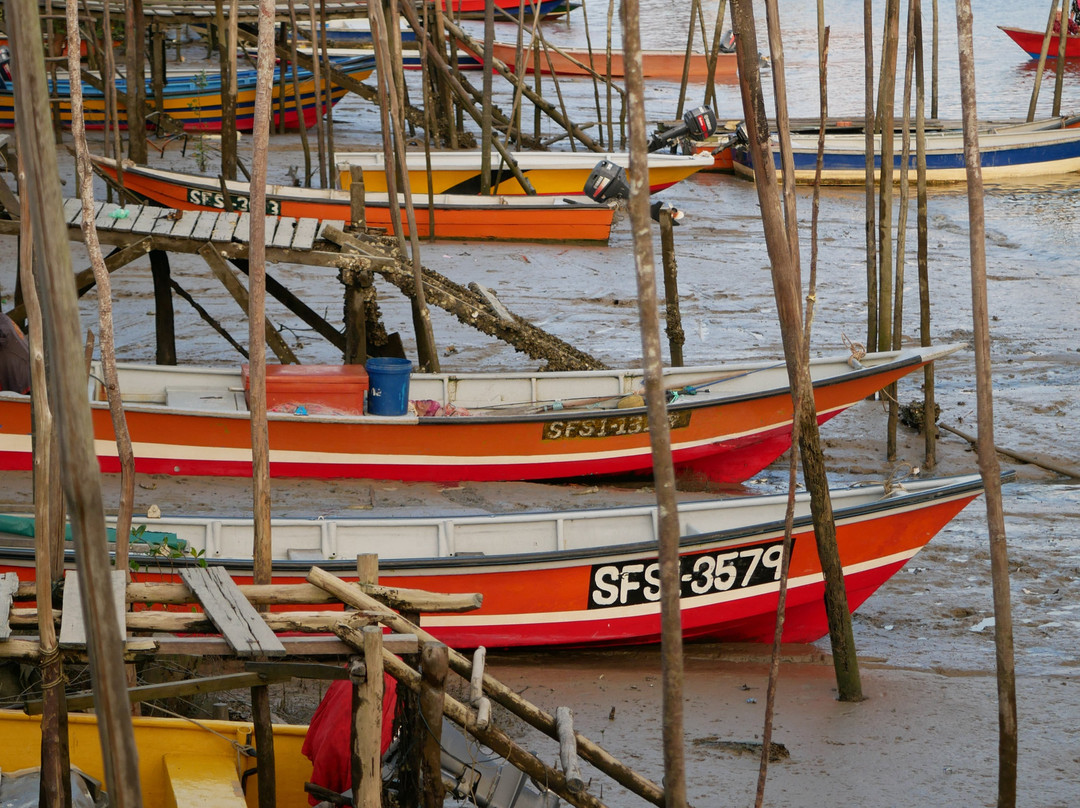古晋湿地国家公园-古晋必去景点