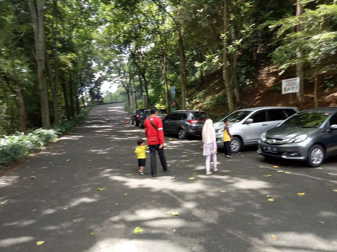Bird And Bromelia Pavilion-连旺必去景点