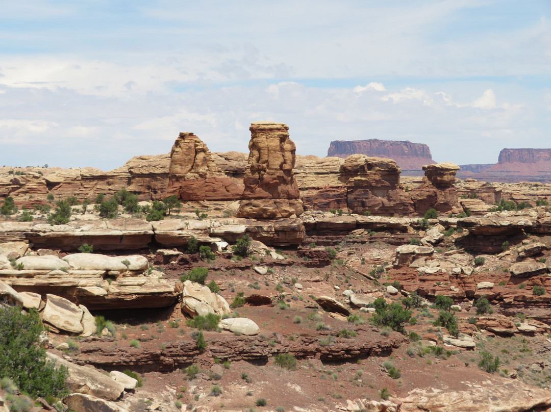 Big Spring Canyon Overlook-峡谷地国家公园必去景点