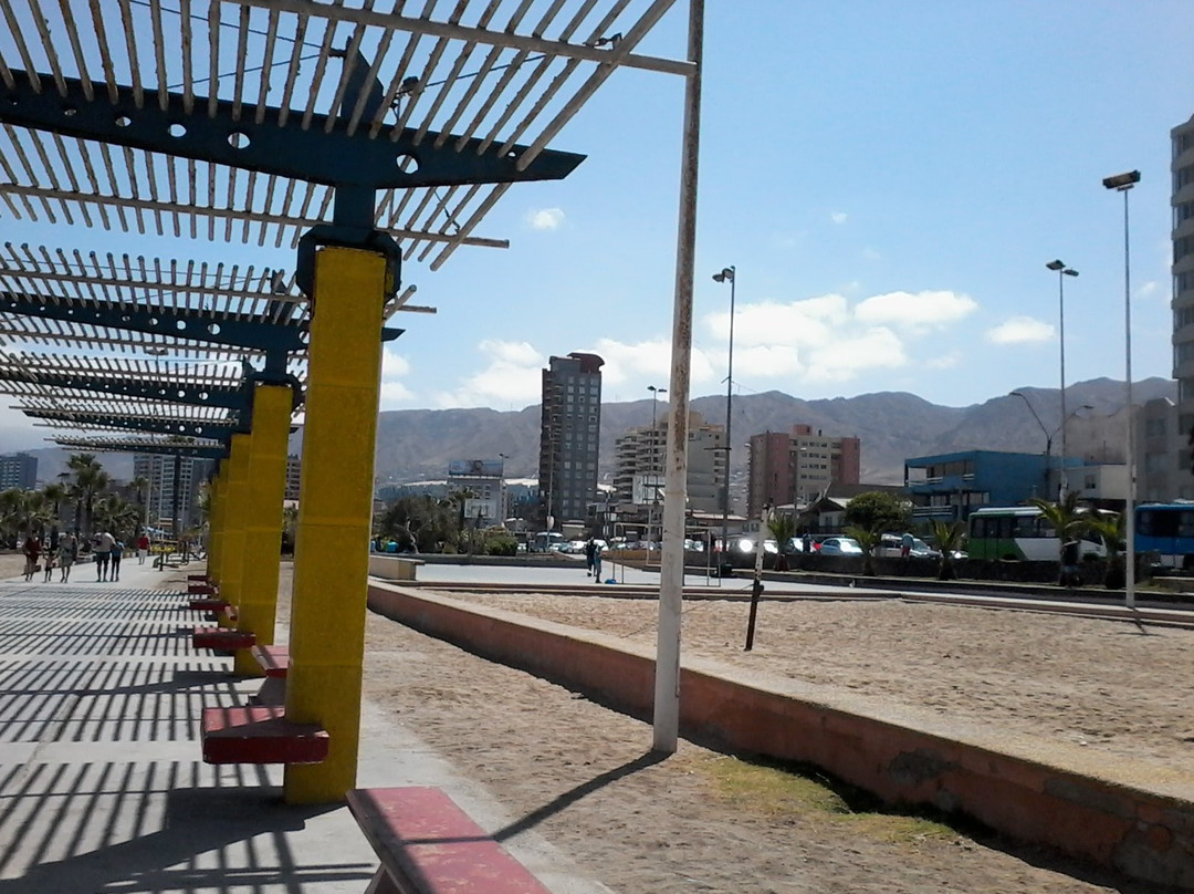 Paseo del Mar Antofagasta景点图片