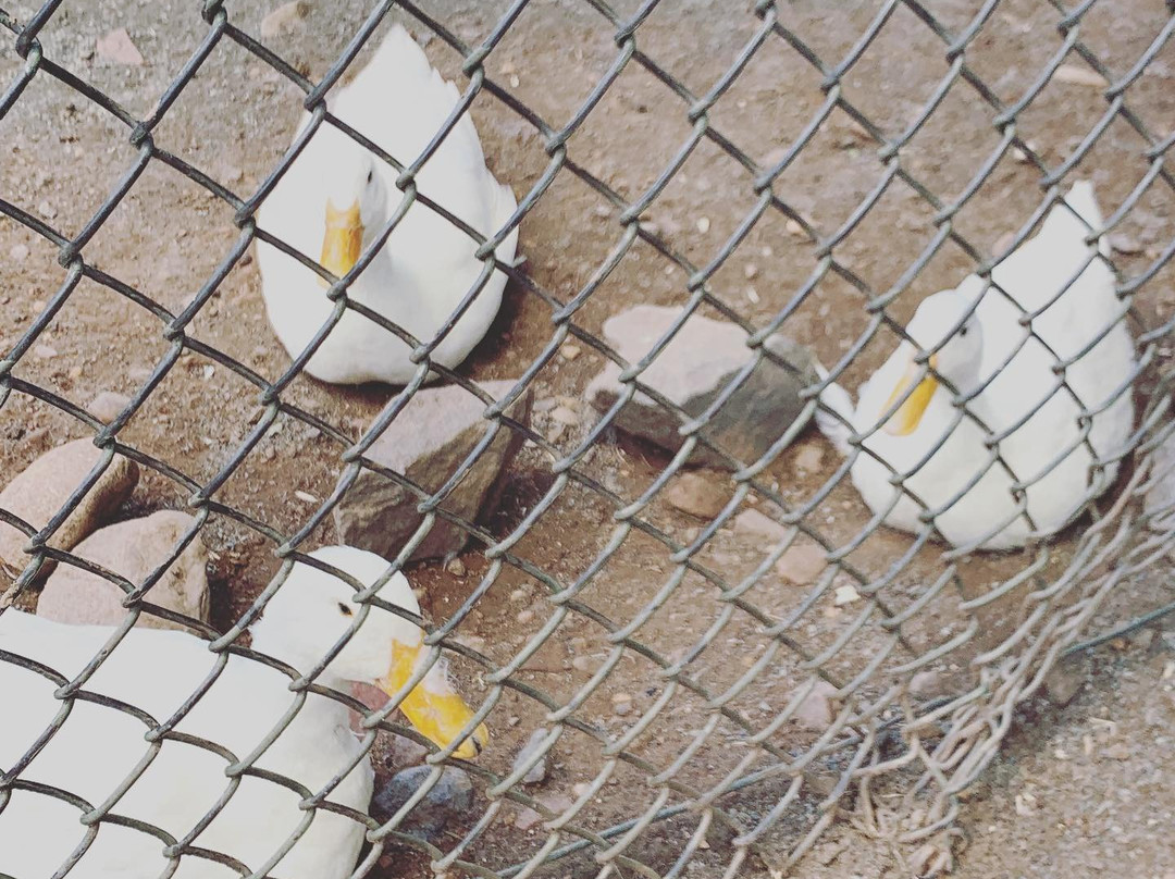 Merrill Park-艾斯林必去景点