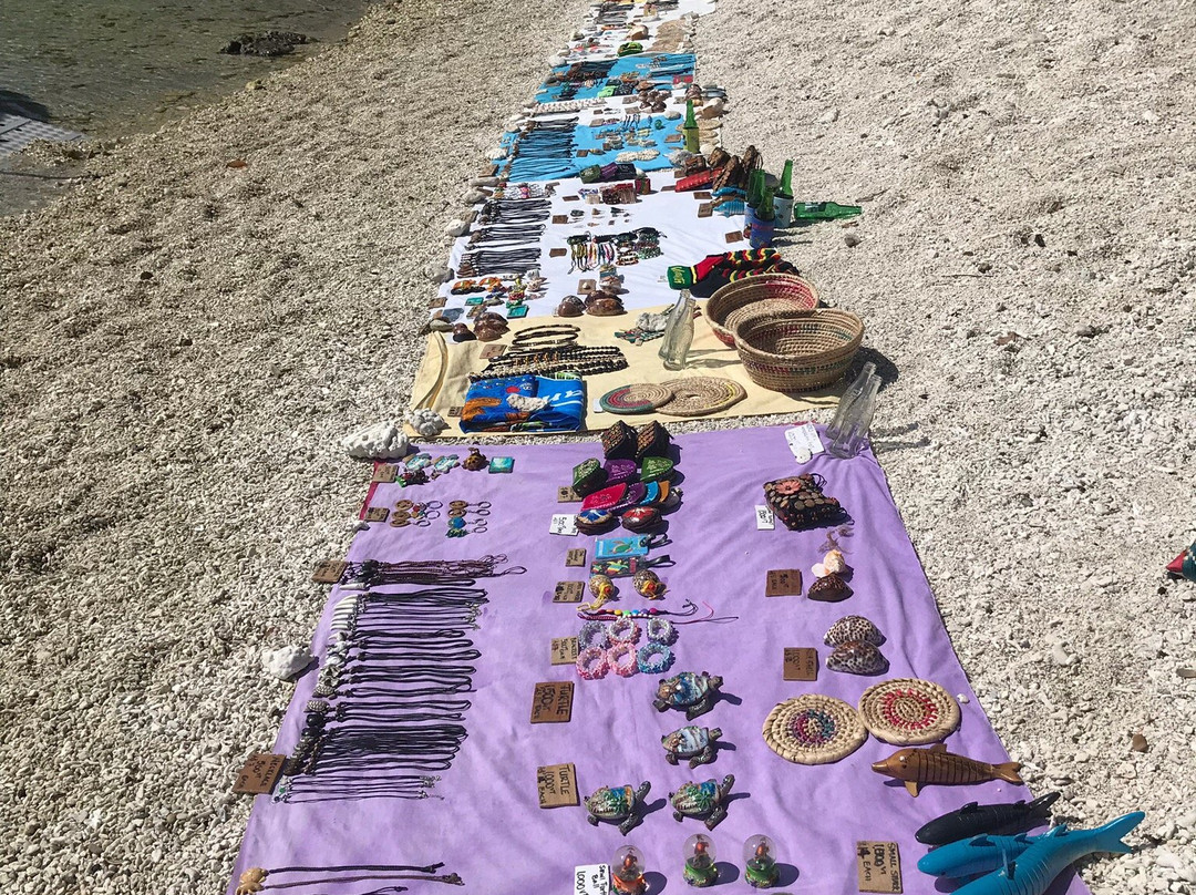 Turtle Reef Vanuatu-维拉港必去景点