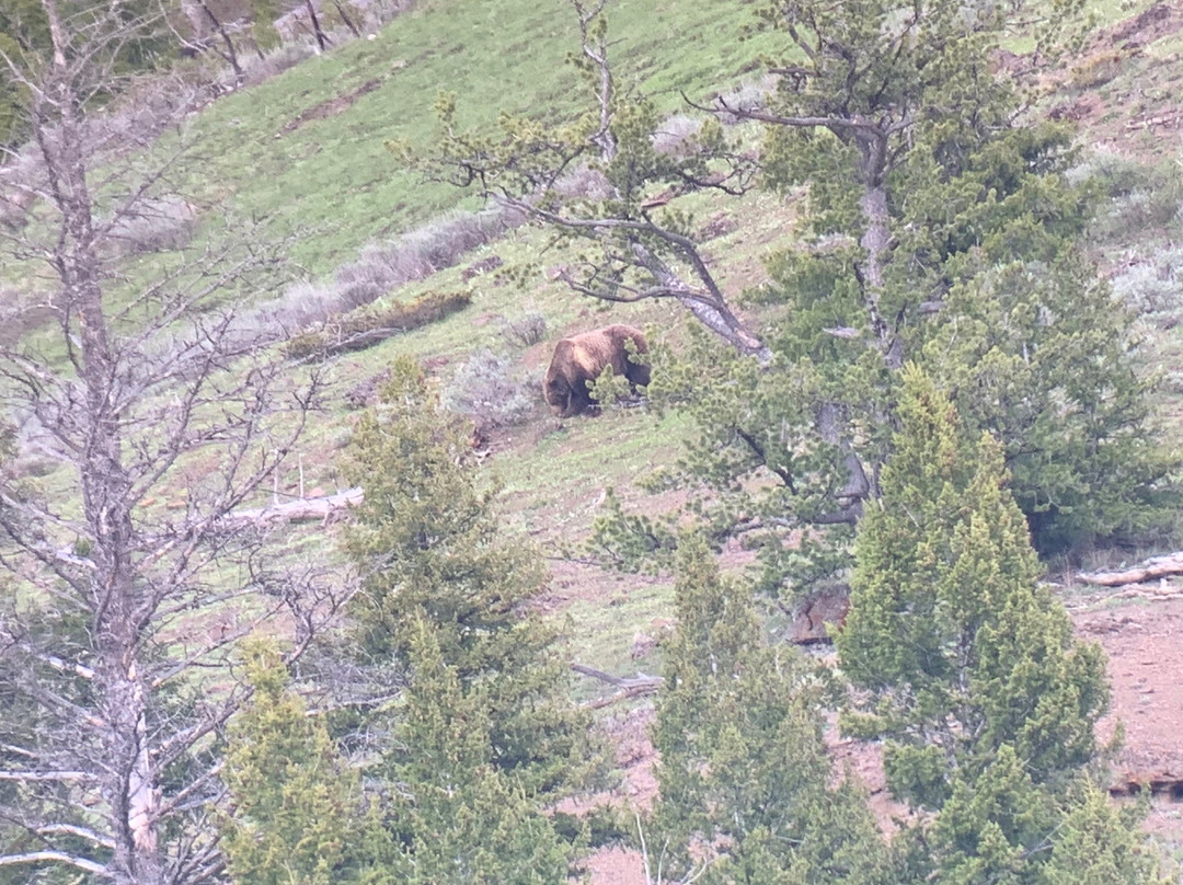 Pahaska Tepee Resort主图