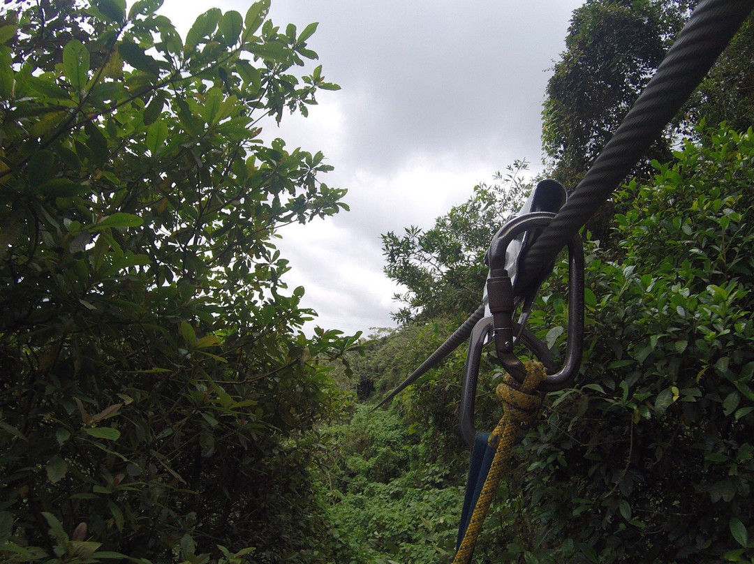 Monteverde Extremo Park景点图片