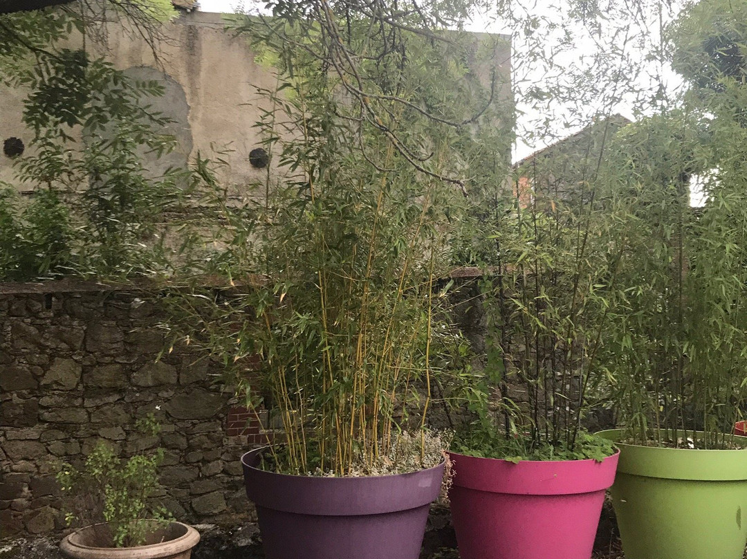 Le Clos des Ruisseaux主图