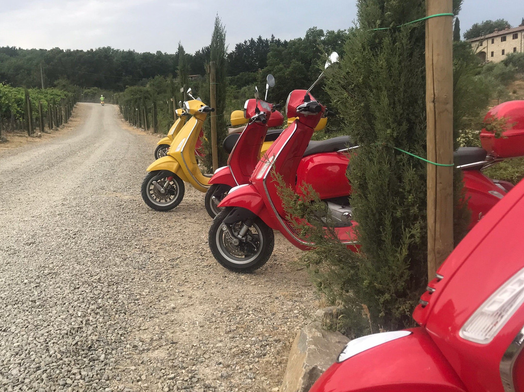 My Tour - Day Tours-蒙特里久尼必去景点