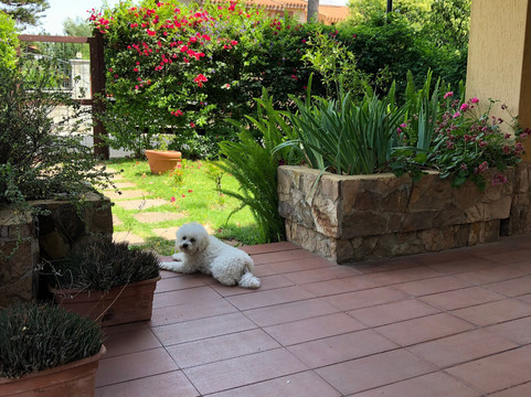 Poggio dei Pini旅游攻略图片