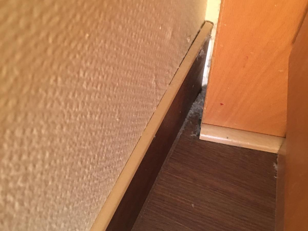 CCL Asgard Hotel Worms主图