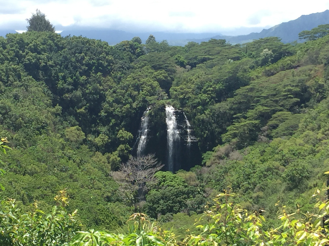 Wailua Heritage Trail-Wailua必去景点