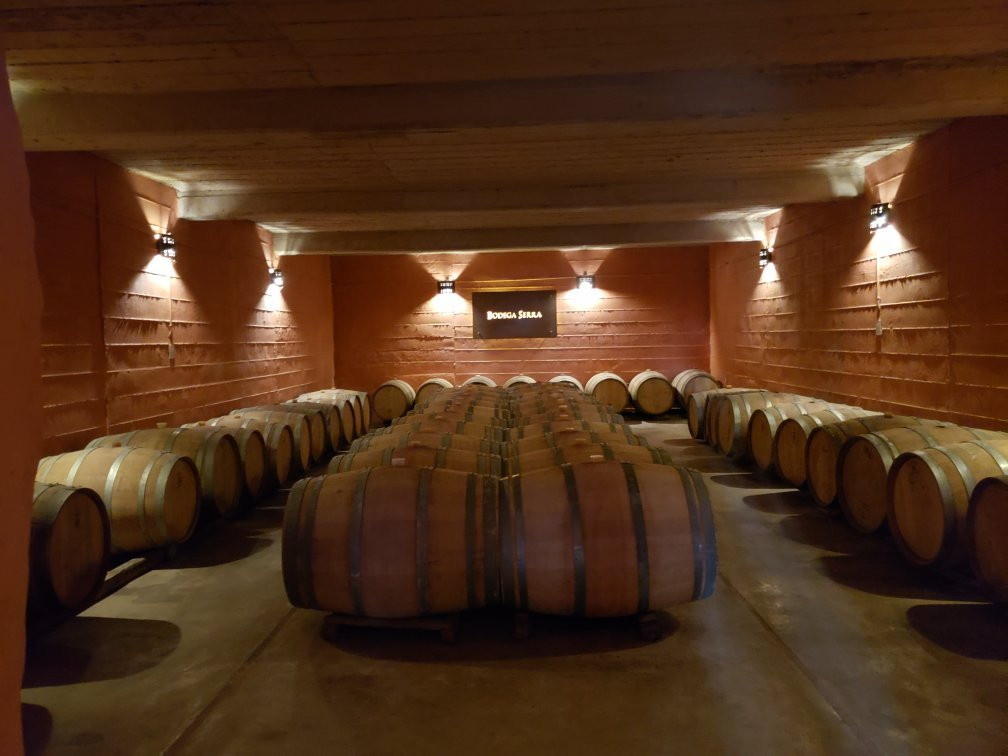 La Vieja Bodega-圣拉斐尔必去景点