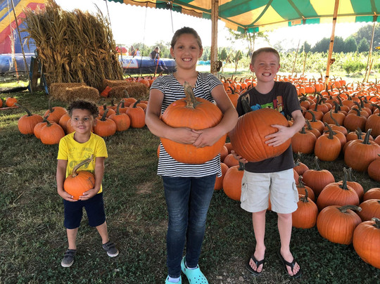 Yule Forest-Stockbridge必去景点