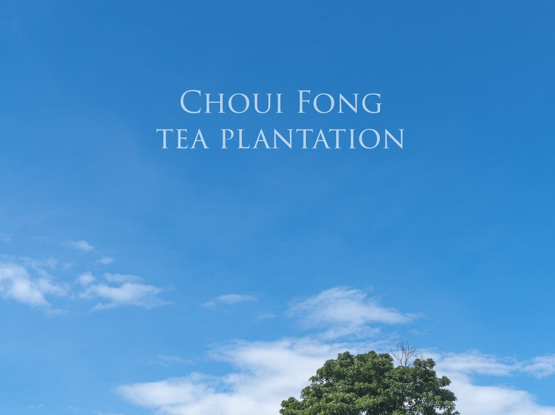 诺克花园度假村主图