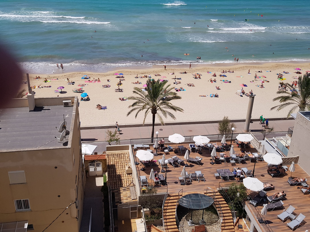 FERGUS Style Palma Beach