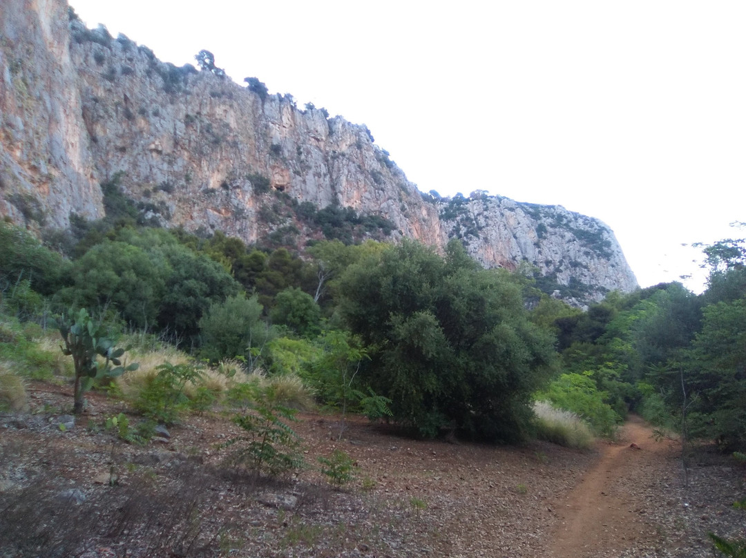 Parco della Favorita-巴勒莫必去景点