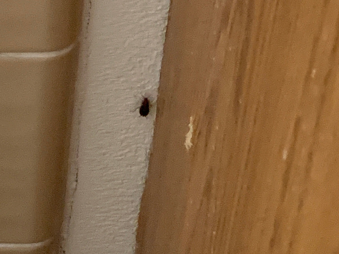 Quality Inn & Suites主图