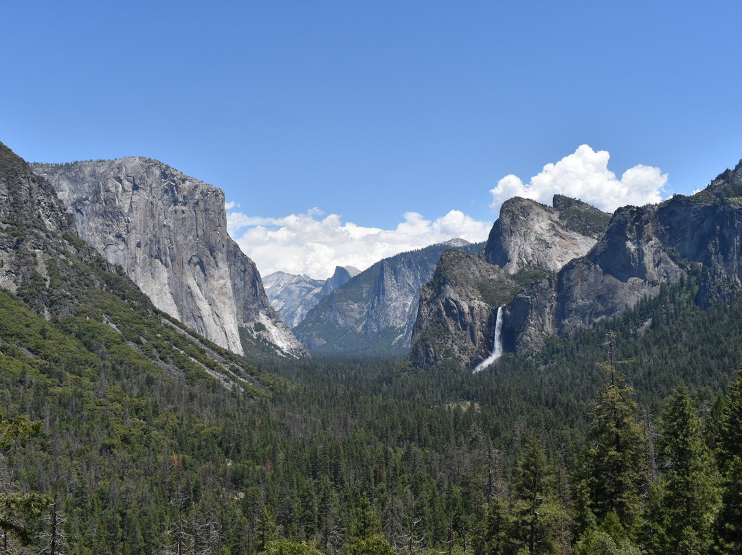 Yosemite Close Up Tours景点图片