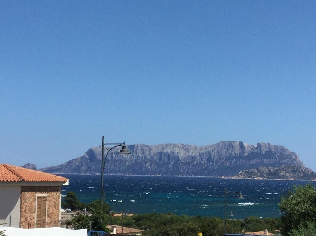 B&B Domus de Diana主图