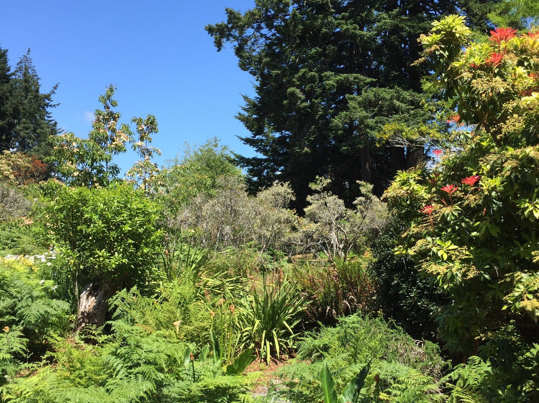 Azalea Park-布鲁金斯必去景点