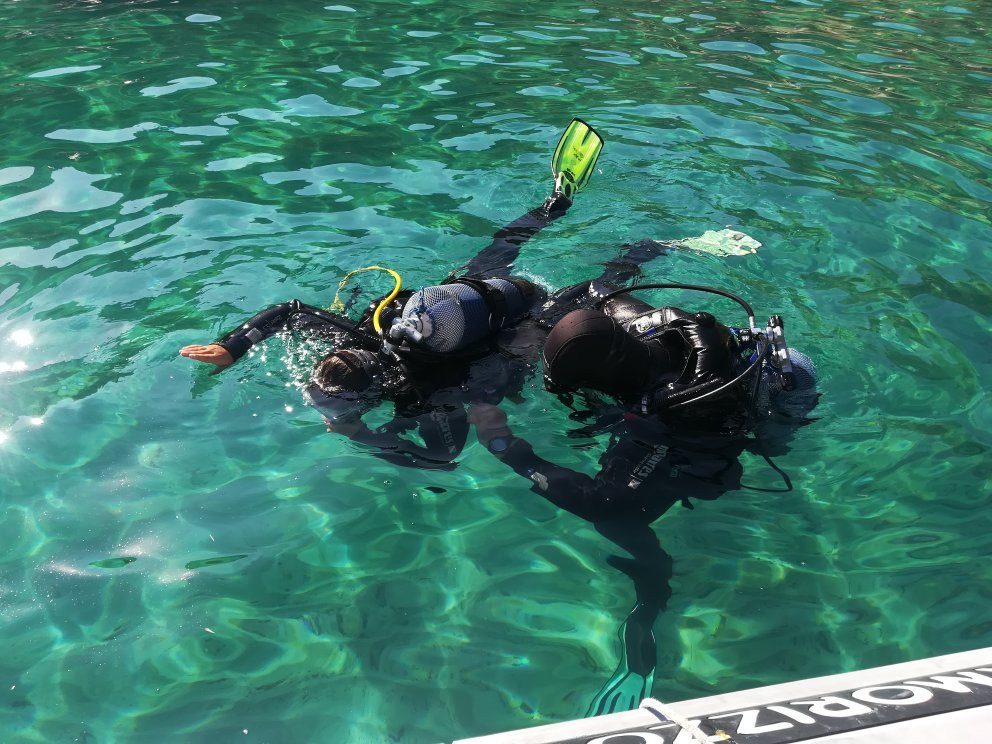 Max Shark Diving-Isola del Giglio必去景点