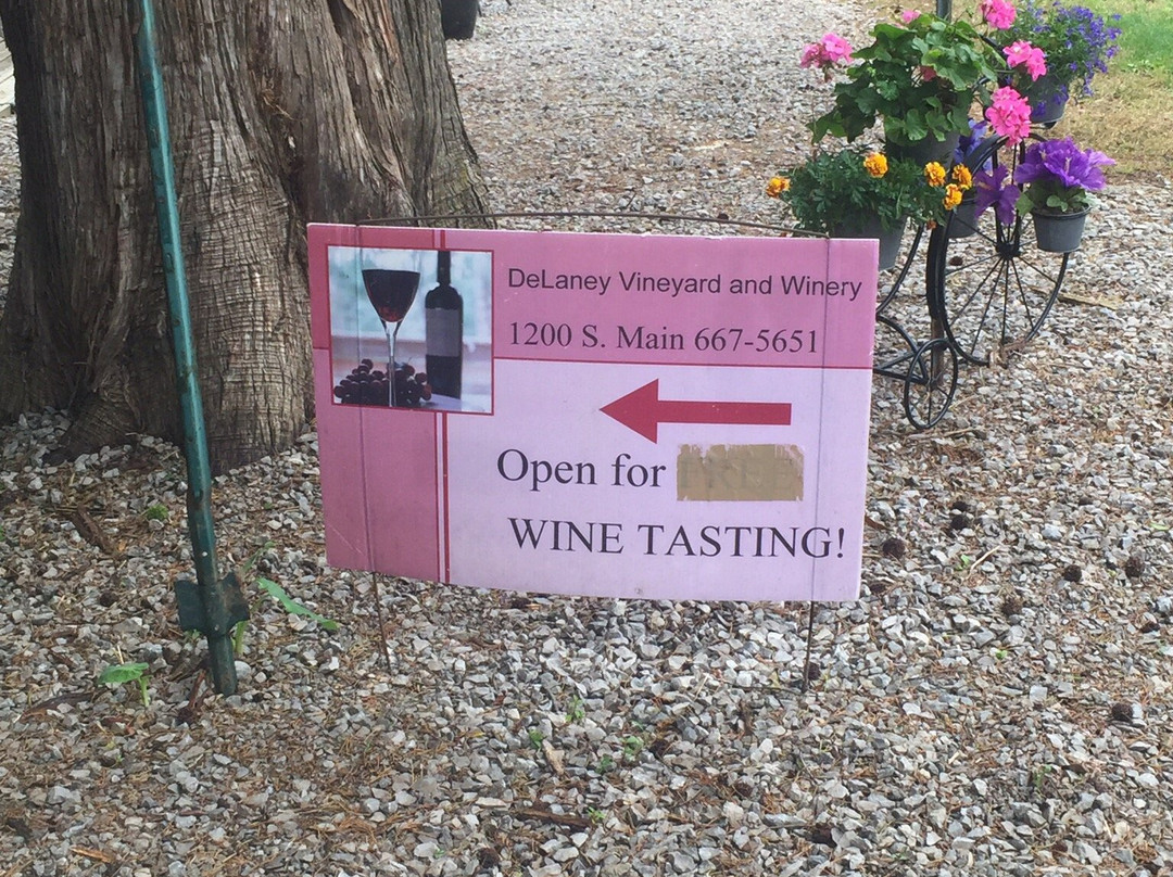 DeLaney Vineyard & Winery-Nevada必去景点