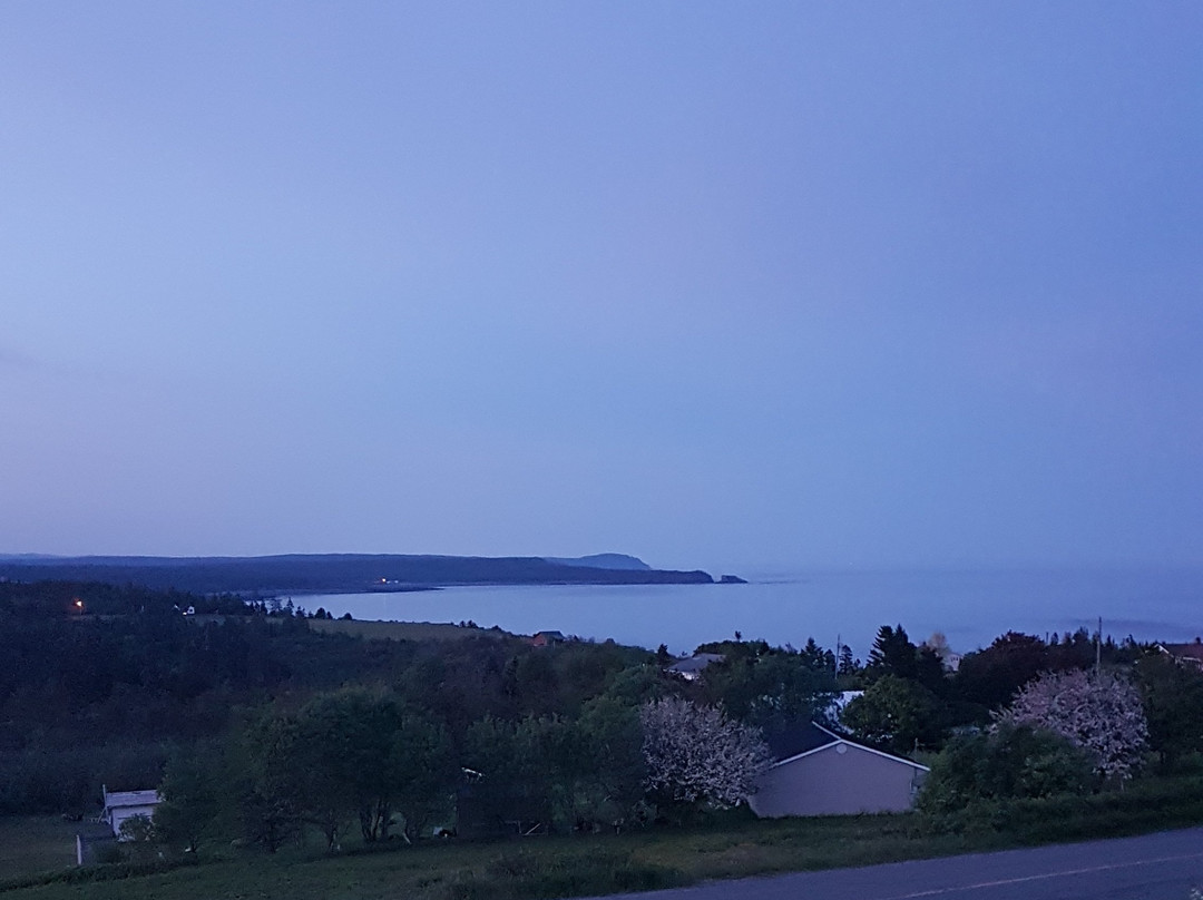 Moore's Specialties主图