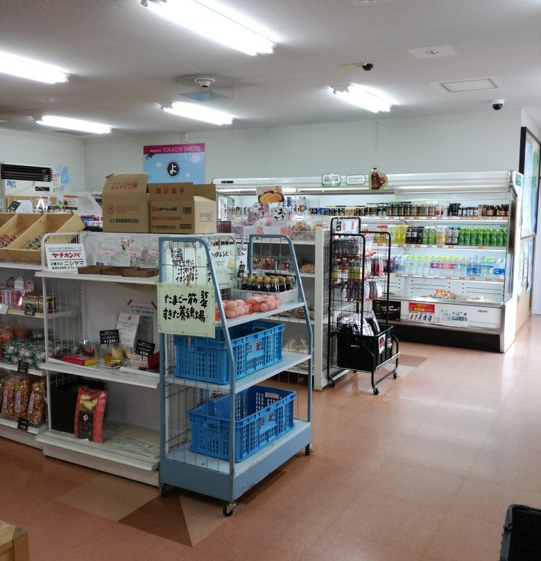 Michi-no-Eki Sarabetsu-更别村必去景点