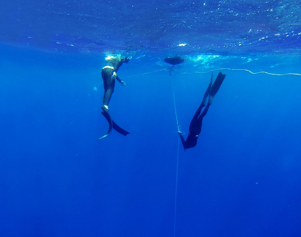 Freedive Cosmos景点图片