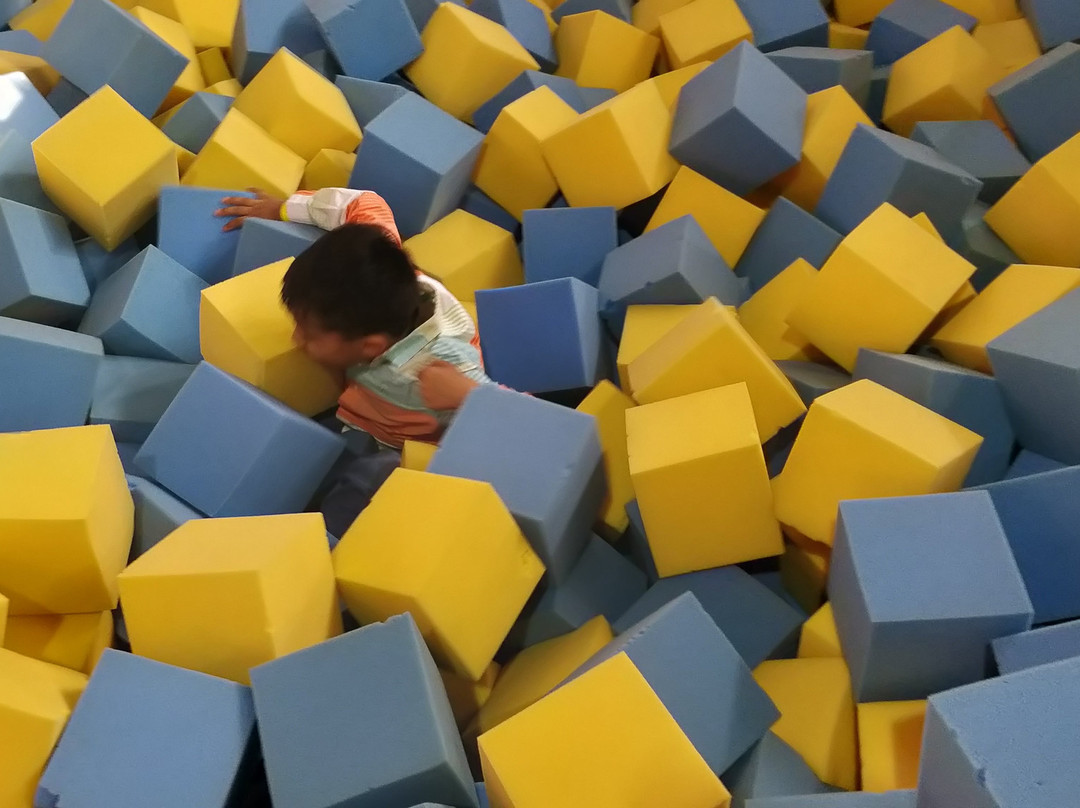 SkyJumper Trampoline Park - Shimla景点图片