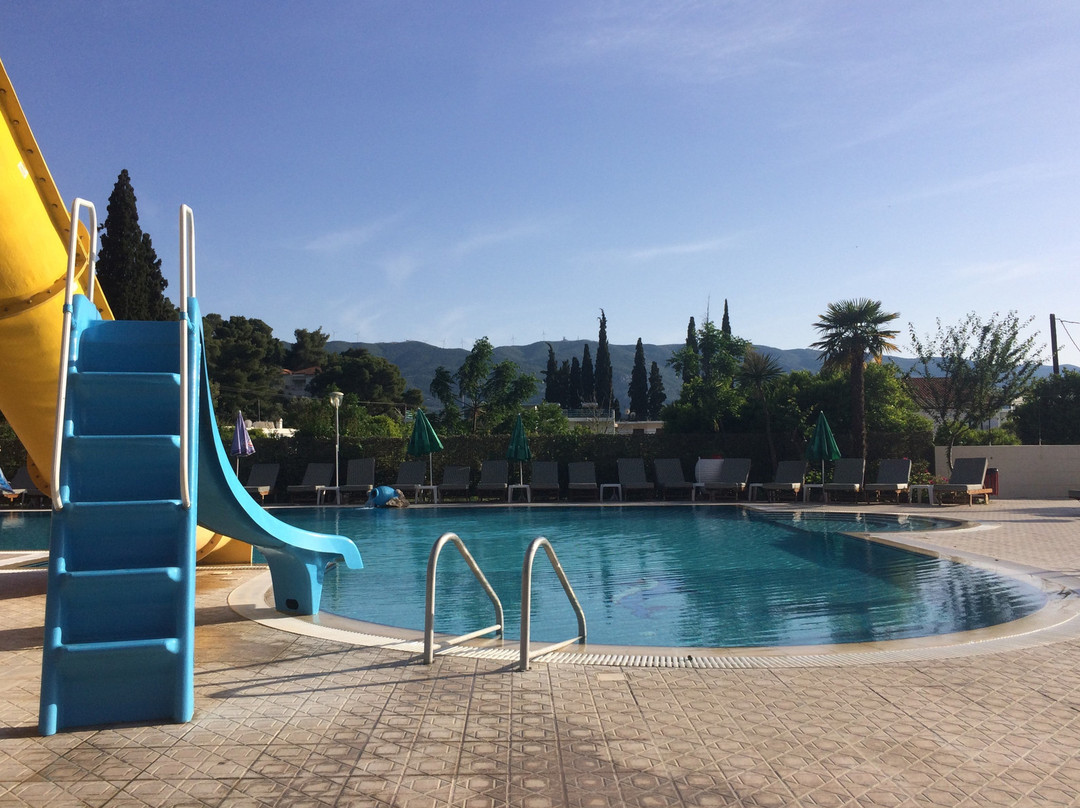 Magdas Kamares主图