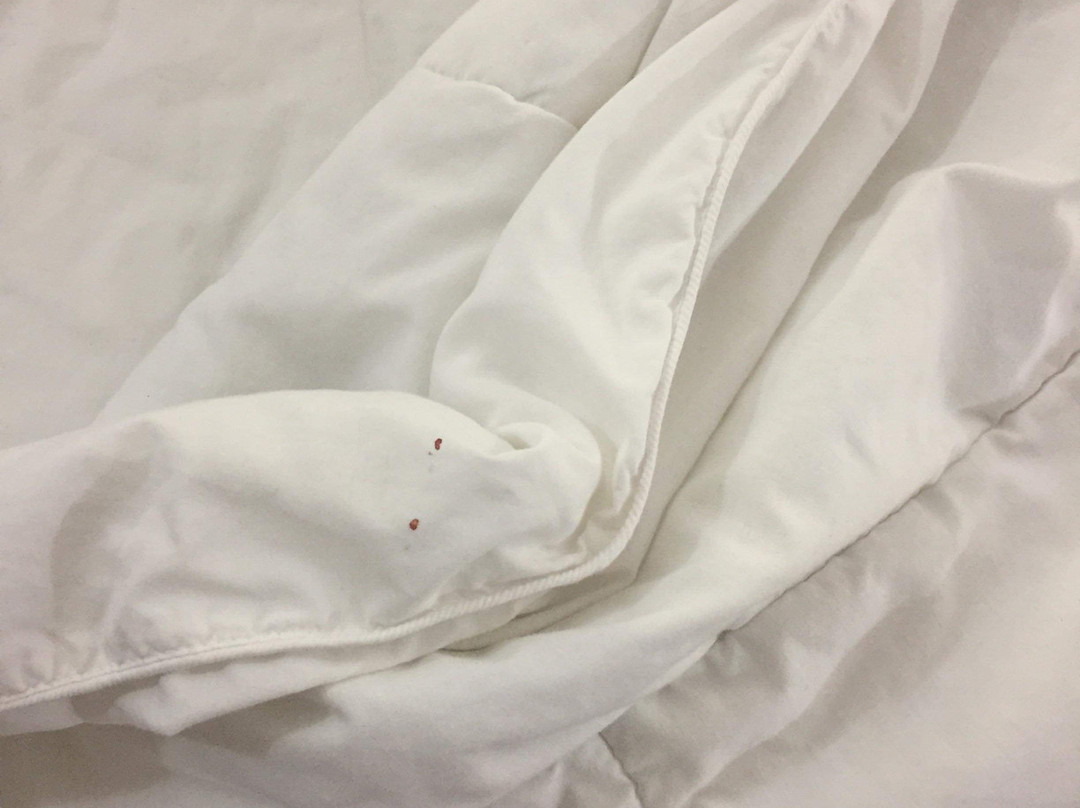 Baymont By Wyndham Bellevue/omaha主图