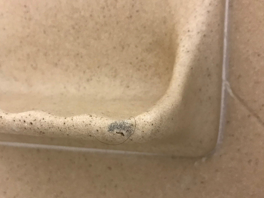 Comfort Suites Olive Branch West主图